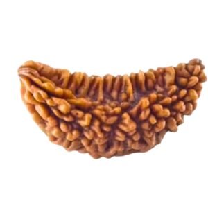 EKMUKHI RUDRAKSHA