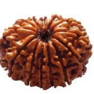 GYAARAHMUKHI RUDRAKSHA