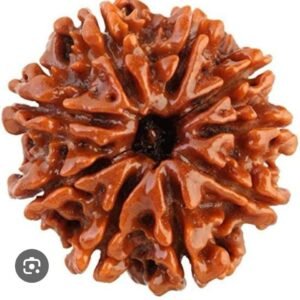 NAUMUKHI RUDRAKSHA